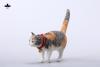  Artikelbild 1 des Artikels “1/6 Scale Chinese Rural Cat (Orange) “