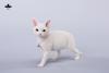  Artikelbild 1 des Artikels “1/3 Scale Devon Rex Cat (White) “