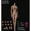  Product image 1 of the product “Caucasien Seamless  - Mid Bust -   (Wheaten Skin) 1/6 ”