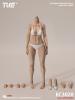  Product image 1 of the product “1:6 Narrow Shoulder Large Bust Body 1/6 (White Skin) ”