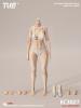  Product image 1 of the product “1:6 Narrow Shoulder Medium Bust Body 1/6 (White Skin) ”