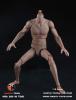  Artikelbild 1 des Artikels “1:6  Super Sports Body “