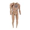 Artikelbild 1 des Artikels “Damtoys Basic  Body “