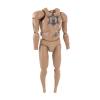  Product image 1 of the product “Damtoys Basic  Body GK010 ”