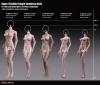  Artikelbild 1 des Artikels “TBLeague/Phicen Body  - mittler Oberweite - Hautfarbe Sun-Tan “