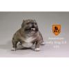  Product image 1 of the product “American Pitbull 2.0 Dog (Grey) 1/6 ”