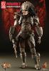  Artikelbild 1 des Artikels “1:6th scale Guardian Exclusive Predator Collectible Figure “