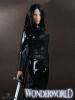  Artikelbild 1 des Artikels “Black warrior selene Wildworld “