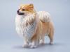  Product image 1 of the product “Pomeranian (Ver. D) 1/6 Scale Figure ”