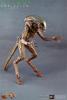  Product image 1 of the product “1:6 Hot Toys Aliens DOG ALIEN Alien Warrior ”