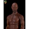  Product image 1 of the product “Kopf Terry  Headsculpt 1/6 ”