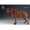  Product image 1 of the product “Crocuta Crocuta Spotted Hyena (Brown) 1/6 ”