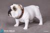 Product image 1 of the product “British Bulldog (White) 1/6 ”