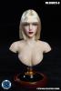  Artikelbild 1 des Artikels “Caucasian Female Headsculpt 1:6 “