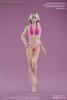  Artikelbild 1 des Artikels “Caucasian Pale Female Super Flexible Seamless Body (Small Bust) 1:6 “