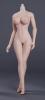  Artikelbild 1 des Artikels “Female  Pink seamless body (Grosse Brust) 1:6 “