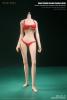  Artikelbild 1 des Artikels “Caucasien Seamless  - mittlere Oberweite - Natural Skin  1:6 “
