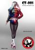  Artikelbild 1 des Artikels “Harley Quinn Head and Outfit Set “