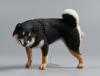  Artikelbild 1 des Artikels “Shiba Inu Leg Lift 1/6 Scale Figure (Ver. A) “