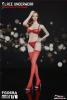  Artikelbild 1 des Artikels “1:6 Seamless Stocking Lace Lingerie Set “