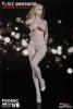  Artikelbild 1 des Artikels “1:6 Seamless Stocking Lace Lingerie Set “