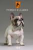  Artikelbild 1 des Artikels “MR.Z French Bulldog 05 1:6 “