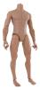  Artikelbild 1 des Artikels “Nackte Männlicher Body  1:6 “