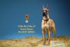  Artikelbild 1 des Artikels “German Great Dane Dog (Beige) 1:6 “