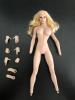  Product image 1 of the product “Phicen Seamless Body Cleo BIG size 1/6 ”