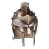  Artikelbild 1 des Artikels “Gladiator Helm “