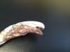  Product image 1 of the product “1/6 Alien chestburster ”
