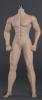  Artikelbild 1 des Artikels “Seamless Caucasian Seamless Male Body 1:6 “