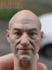  Artikelbild 1 des Artikels “Kumik Male Head Picard Headsculpt 1:6 “