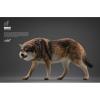  Artikelbild 1 des Artikels “1/6 Brauner Wolf “