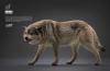  Artikelbild 1 des Artikels “1/6 Grauer Wolf “