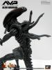  Artikelbild 1 des Artikels “sixth scale Alien Warrier 1/6 “