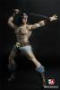  Artikelbild 1 des Artikels “Conan Fantasy Warrior Figur 1:6 “