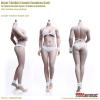  Artikelbild 1 des Artikels “TBLeague/Phicen Body  - mittler Oberweite - Hautfarbe Caucasian Suntan “