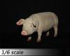  Artikelbild 1 des Artikels “Schwein  (Pink) 1/6 “
