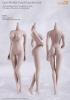  Product image 1 of the product “Phicen Body Pale - large Breat Size ”