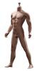  Product image 1 of the product “Phicen Body Male ”