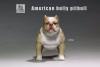  Artikelbild 1 des Artikels “MR.Z American Bully Pitbull  B 1:6 “