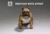  Artikelbild 1 des Artikels “MR.Z American Bully Pitbull  A 1:6 “