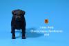  Artikelbild 1 des Artikels “Pug Dog (Black) 1:6 “