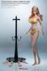  Product image 1 of the product “Phicen Body with Head  Anime - grosse Oberweite - Hautfarbe Pale ”