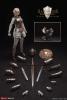  Product image 1 of the product “Knight of Fire-Silver 1/6 Scale Action Figure ”
