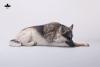  Artikelbild 1 des Artikels “1/6 Scale Schäferhund liegend (Grau) “