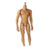  Product image 1 of the product “Viking 1/6 Strong Body ”