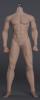  Product image 1 of the product “Seamless Caucasian Seamless Med Skin Male Body 1/6 ”