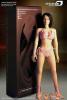  Artikelbild 1 des Artikels “New large breast seamless body for 1:6 figure Pale “